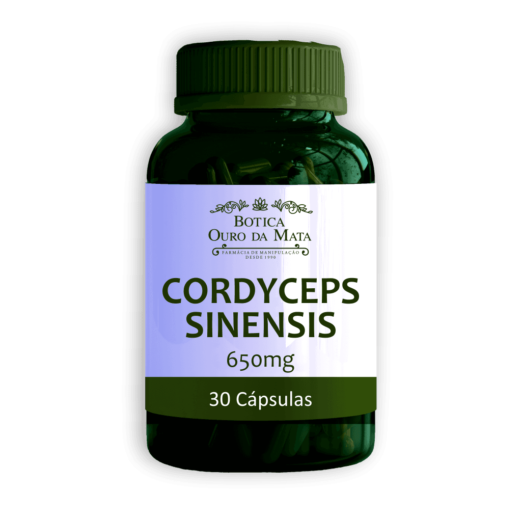 Imagem do Cordyceps sinensis