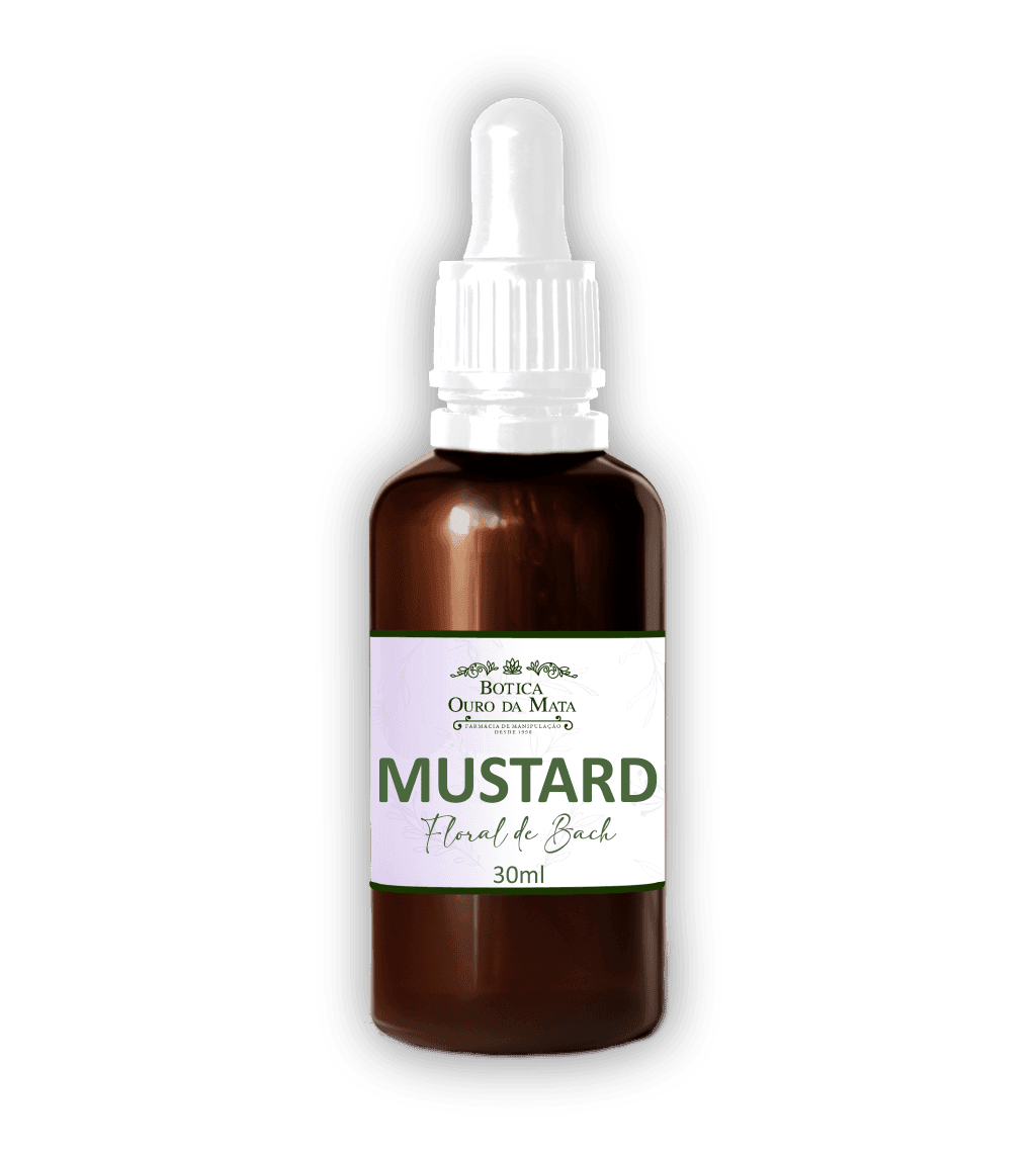 Imagem do Floral de Bach Mustard